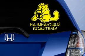 Для начинающих водителей могут ввести поэтапный допуск к управлению автомобилем