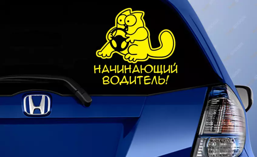 Для начинающих водителей могут ввести поэтапный допуск к управлению автомобилем