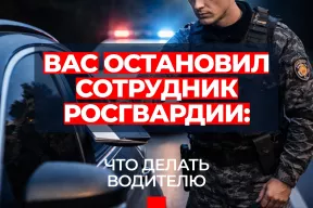 Что делать, если вас остановил сотрудник Росгвардии