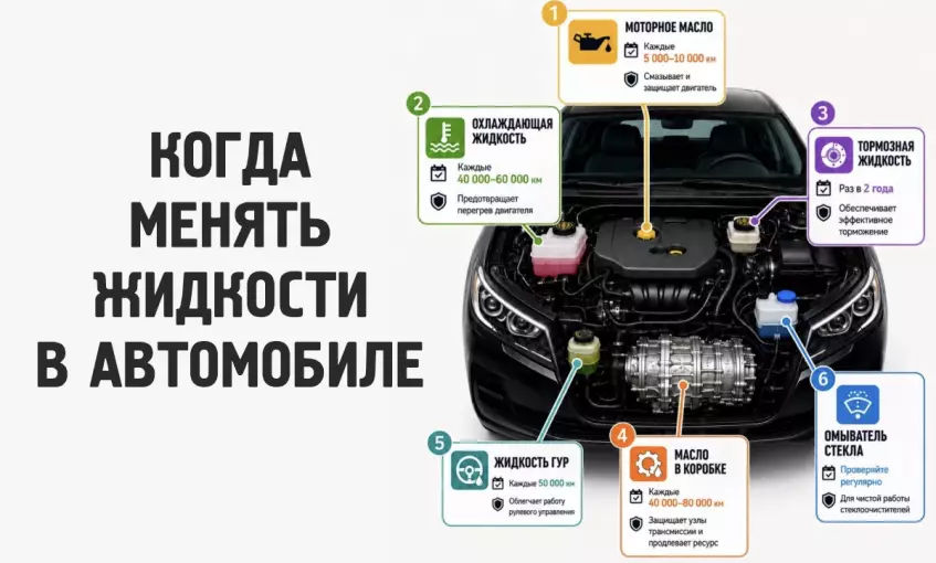 Когда менять жидкости в автомобиле?